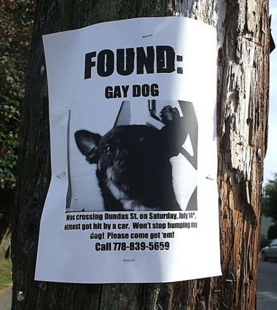 Daily picdump (149 pics)