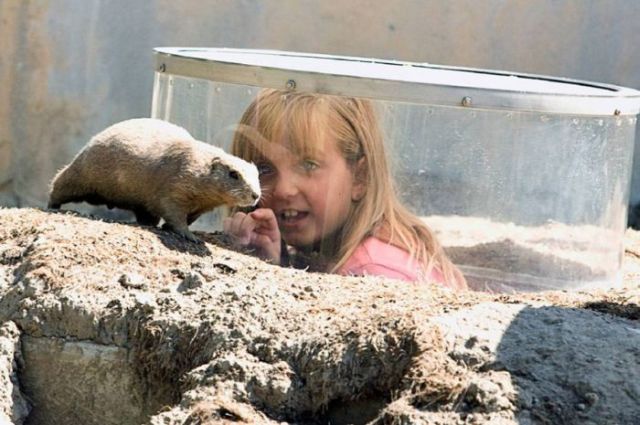 Daily picdump (149 pics)