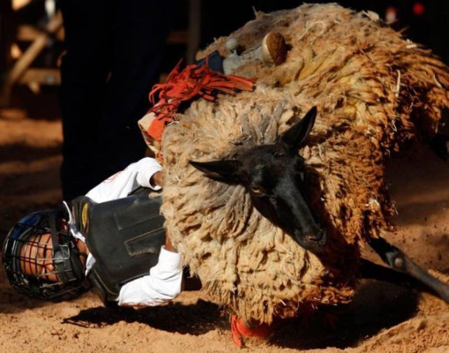 Daily picdump (149 pics)