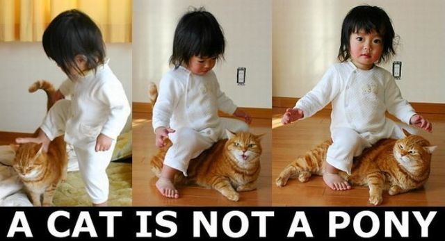 Daily picdump (149 pics)