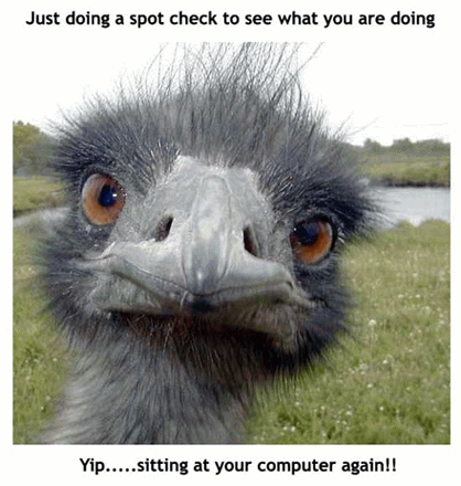 Curiosities and bonus pictures