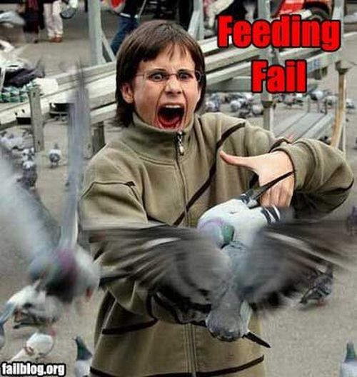 Epic fails. The best of the best. Part 1 (79 pics)