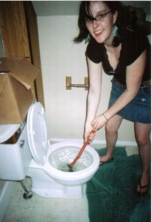 Hot girls unclogging toilets (28 pics)