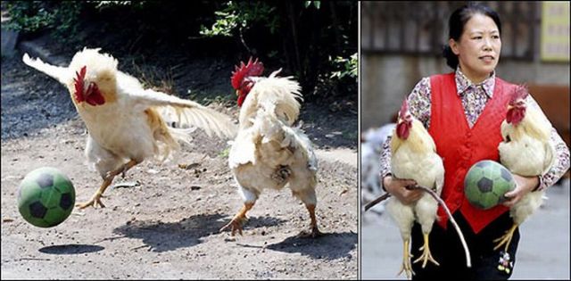 Only in Asia (145 pics)