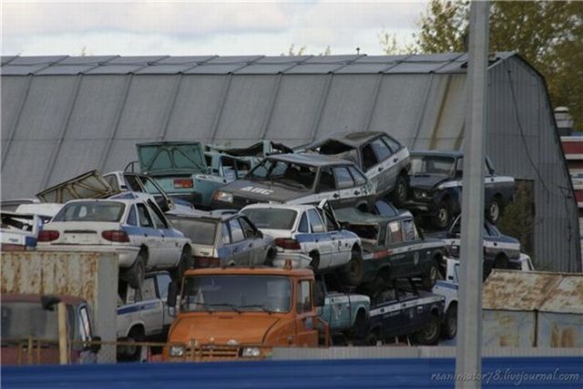 Daily picdump (118 pics)