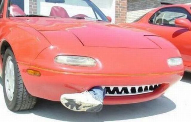 Daily picdump (118 pics)