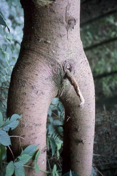 Daily picdump (118 pics)