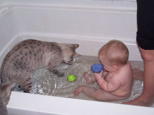 Daily picdump (118 pics)