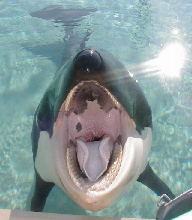 Daily picdump (118 pics)