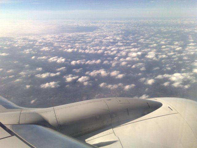 Pictures sent by users (52 pics)