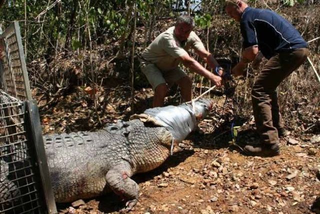 Daily picdump (127 pics)