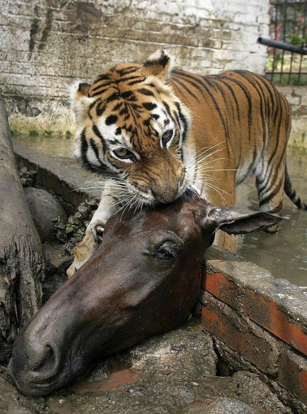 Daily picdump (127 pics)