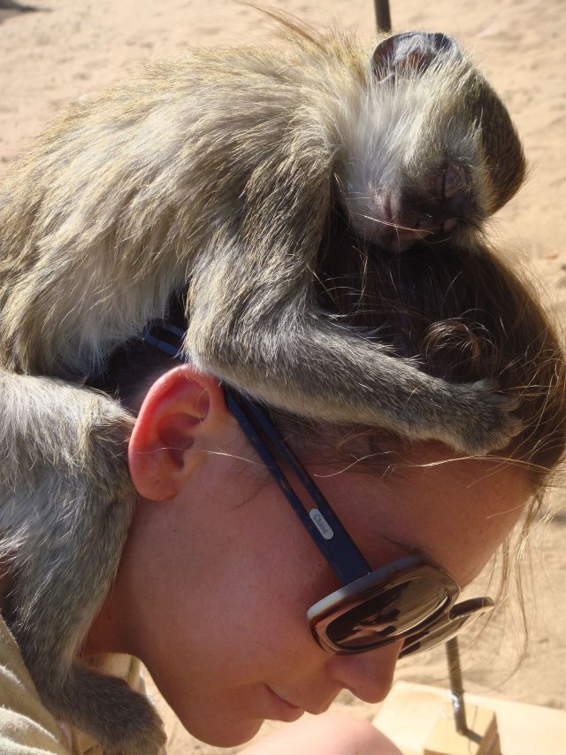 Daily picdump (118 pics)