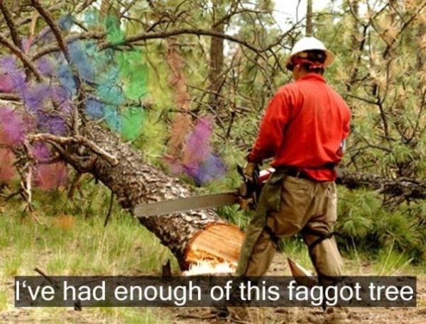 Daily picdump (118 pics)