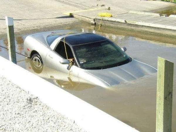 Daily picdump (118 pics)