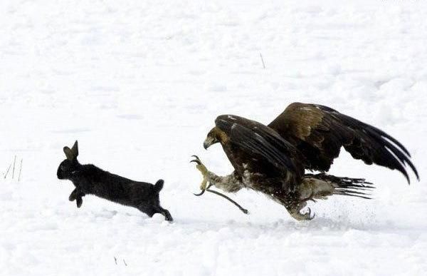 Daily picdump (118 pics)