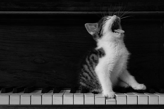 Daily picdump (82 pics)