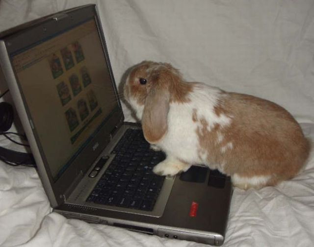 Daily picdump (82 pics)