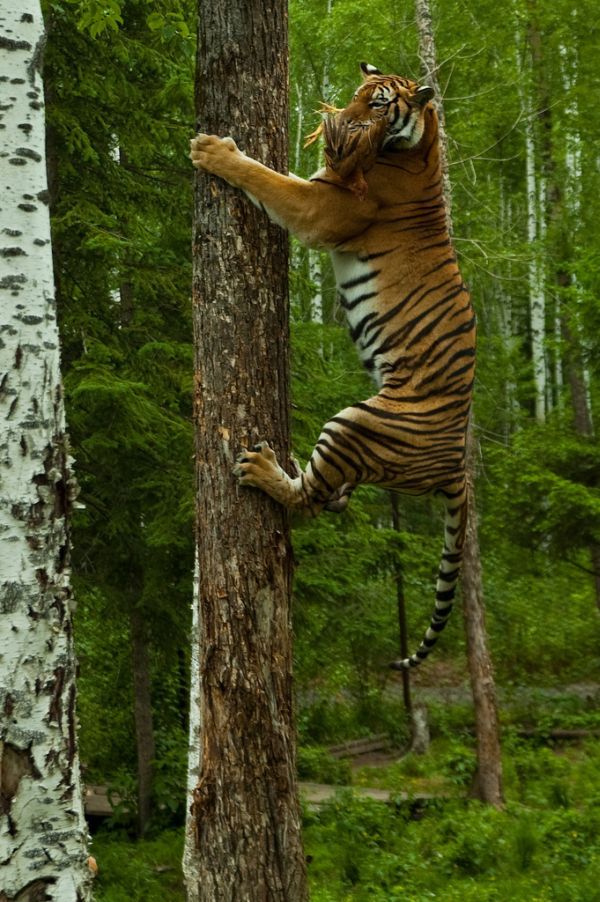 Daily picdump (82 pics)