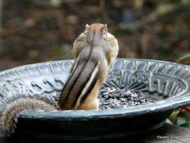 Daily picdump (82 pics)