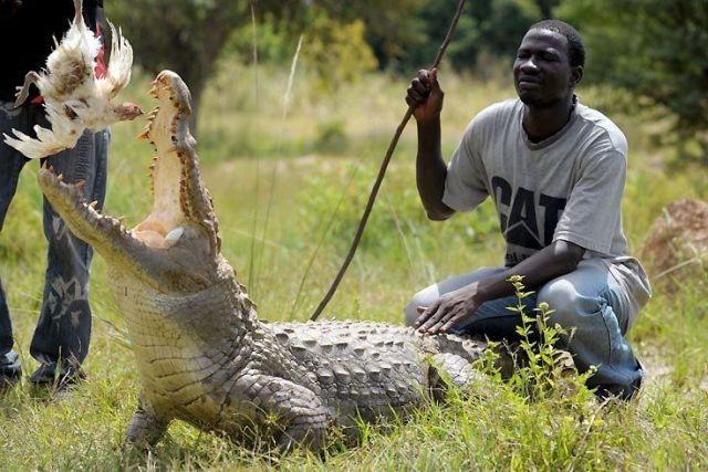Daily picdump (116 pics)