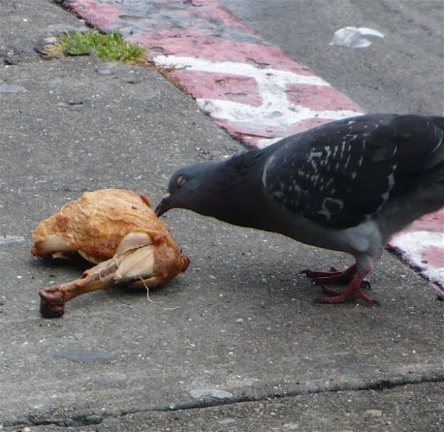 Daily picdump (153 pics)