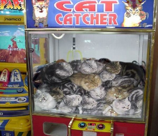 WTF Pictures Compilation. Part 2 (76 pics)