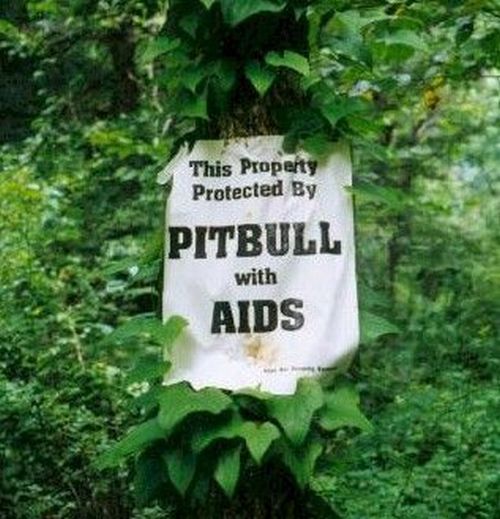 WTF Pictures Compilation. Part 2 (76 pics)