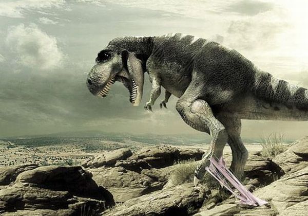 Daily picdump (154 pics)