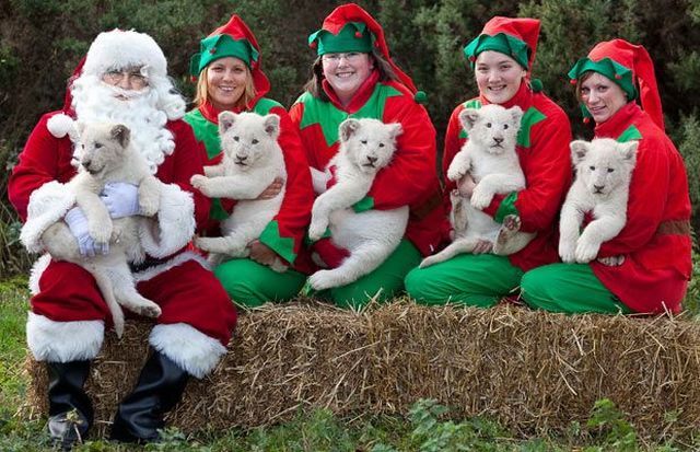 Daily picdump (154 pics)