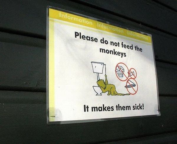 Daily picdump (154 pics)