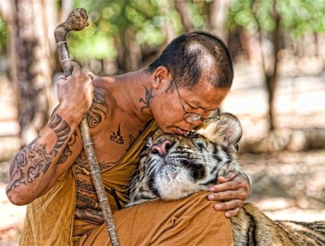 Daily picdump (154 pics)