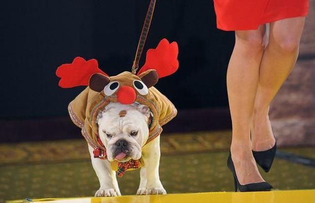 Daily picdump (154 pics)