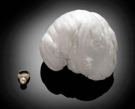 Curiosities and bonus pictures