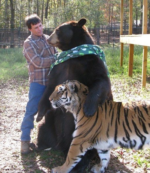 Daily picdump (197 pics)