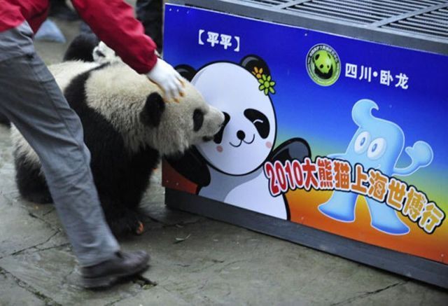 Daily picdump (120 pics)