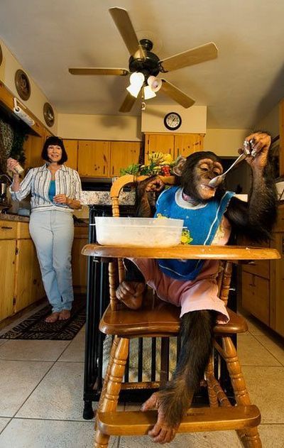 Daily picdump (159 pics)