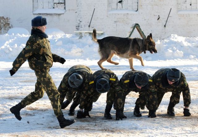 Daily picdump (159 pics)