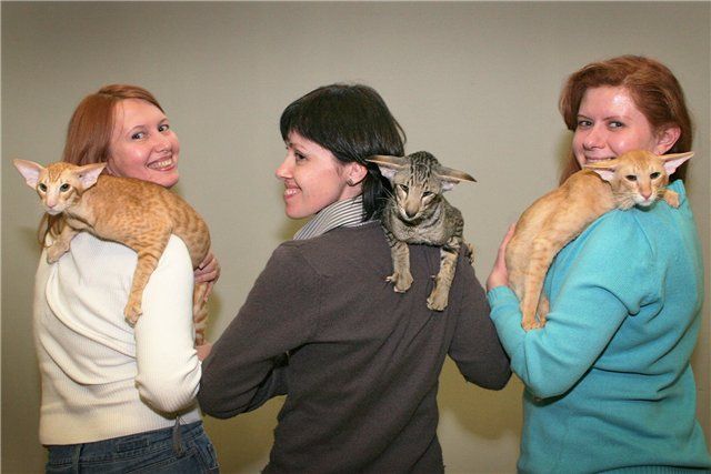 Daily picdump (146 pics)