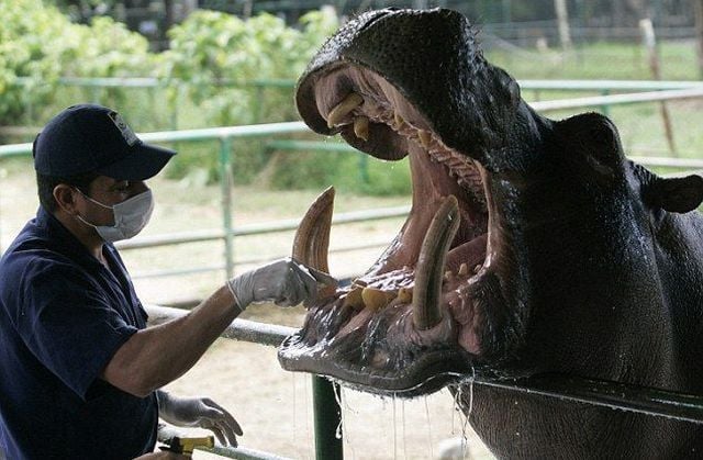 Daily picdump (146 pics)