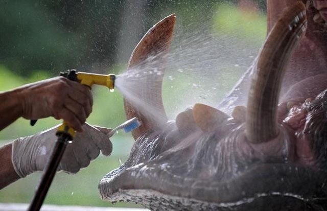 Daily picdump (146 pics)