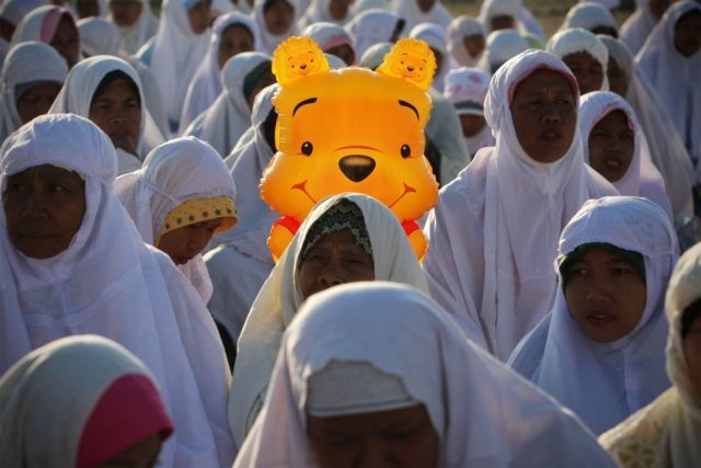 Daily picdump (146 pics)