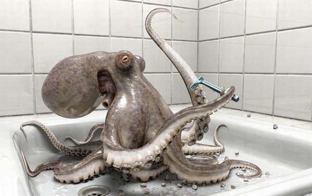 Daily picdump (146 pics)