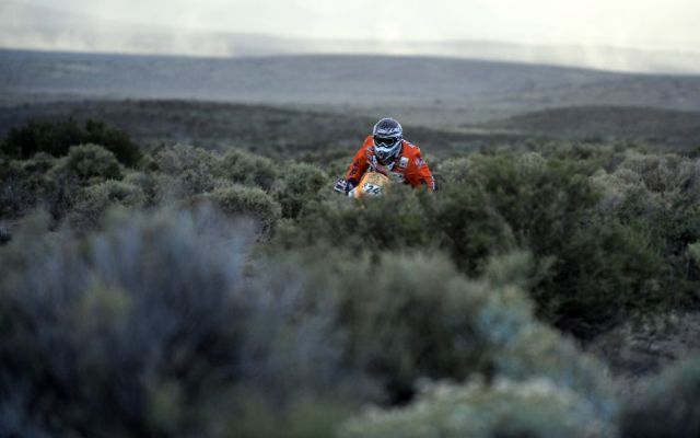 Daily picdump (146 pics)