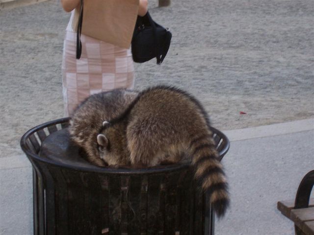 Daily picdump (146 pics)