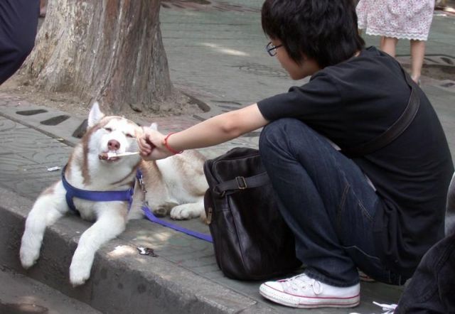 Daily picdump (146 pics)