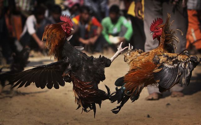 Daily picdump (146 pics)