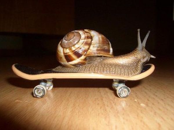 Daily picdump (120 pics)