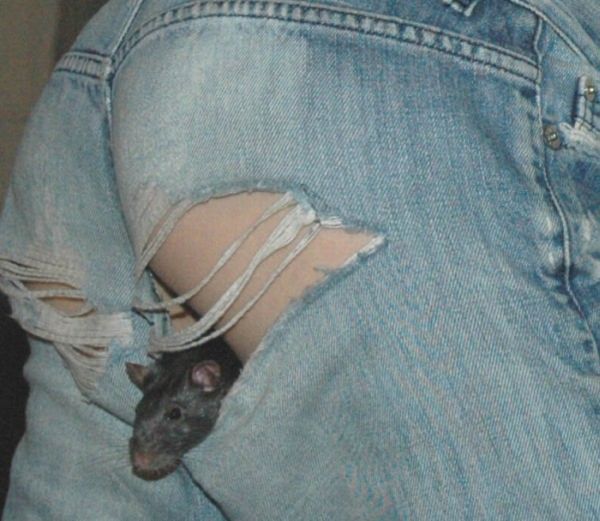 Daily picdump (133 pics)
