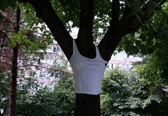 Daily picdump (92 pics)